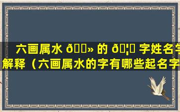 六画属水 🌻 的 🦋 字姓名学解释（六画属水的字有哪些起名字用）